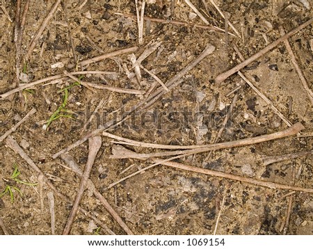 Stock macro photo of the texture of soil with decaying twigs.  Useful as a layer mask or abstract background.