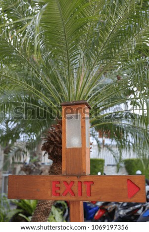 Pointer Exit from a tree with a lantern on a background of a palm tree