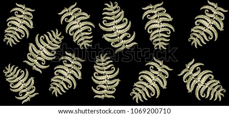 Fern frond herbs, tropical green forest plant leaves vector background illustration.