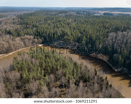 drone image. aerial view of forest river with sandstone cliffs in spring. Gauja, Latvia, sunny day