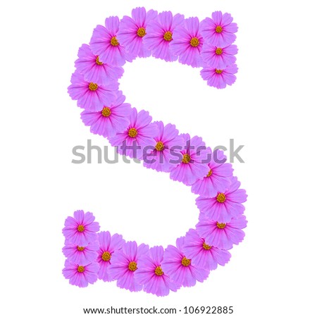 Alphabet S, Cosmos flower alphabet isolated on white
