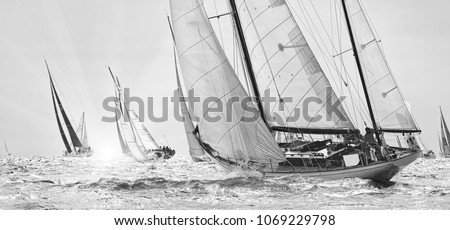 Sailing yachts classic regatta. Yachting. Sailing. Race Royalty-Free Stock Photo #1069229798