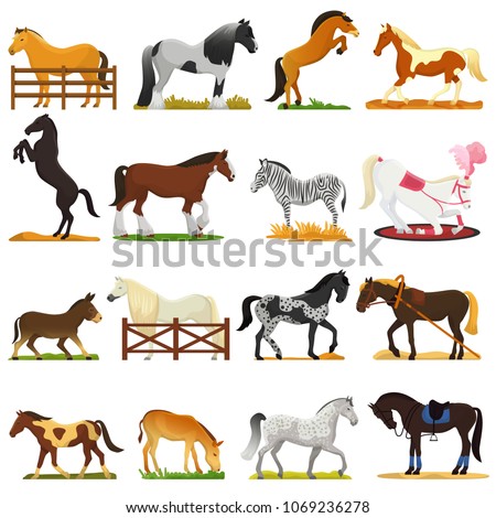 Cartoon horse vector cute animal of horse-breeding or equestrian and horsey or equine stallion illustration animalistic horsy set of pony zebra character isolated on background