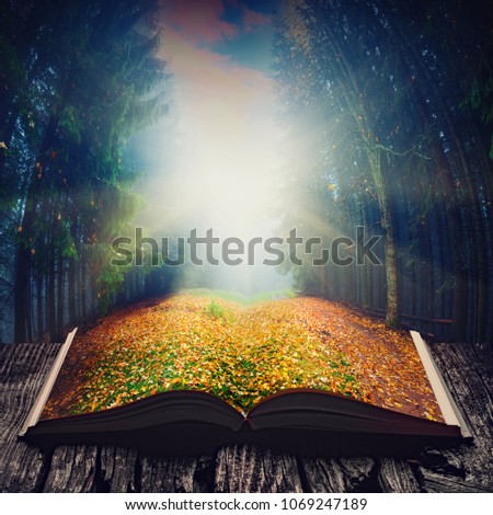 Way through the autumn fairytale forest on the pages of an open magical book. Majestic landscape. Nature and education concept.