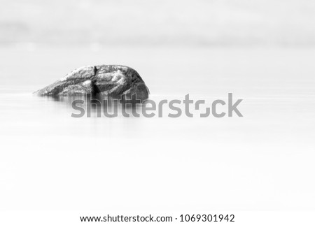 A small rock in the calm water of Loch Lomond converted to black and white