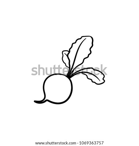 Turnip hand drawn outline doodle icon. Vector sketch illustration of healthy vegetable - raw turnip for print, web, mobile and infographics isolated on white background. Royalty-Free Stock Photo #1069363757