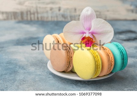 Delicious, colorful cookies macarons on the plate. Light background 