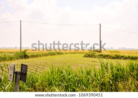 Photo picture Agricultural disaster, field of flooded crops
