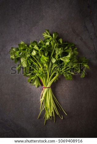 A beautiful photo of fresh parsley bunch on dark background. A flavorful herb and common ingredient in the kitchen. Royalty-Free Stock Photo #1069408916