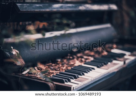 Old piano keyboard in the garden
