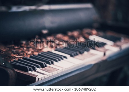Old piano keyboard in the garden