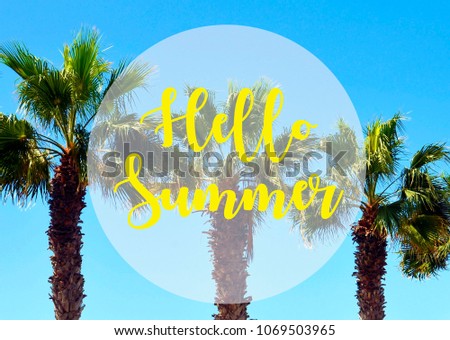 Hello Summer vacation message sign with palm trees against blue sky.
Summertime concept.Selective focus.