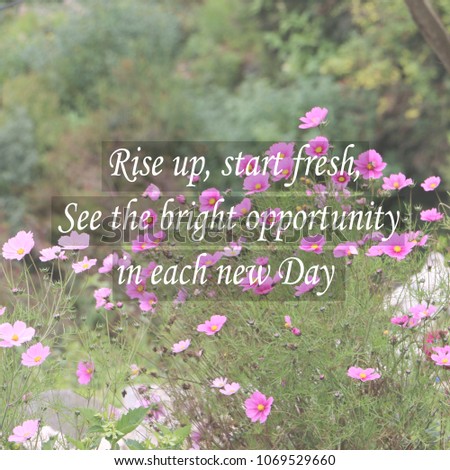 Blurry pink flowers with Inspirational quote  Rise up, start fresh, see the bright opportunity in each new day