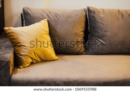 Modern interior with comfortable sofa and pillows in room