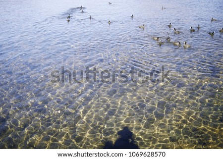 Clear and green lake water reflecting sunshine with ripple