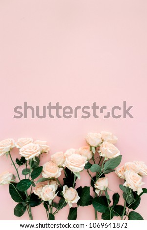 Pastel tea rose flowers on pink background. Floral background. Minimal floral concept. Flat lay, top view.  