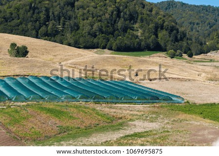 Aerial view on greenhouses in the field