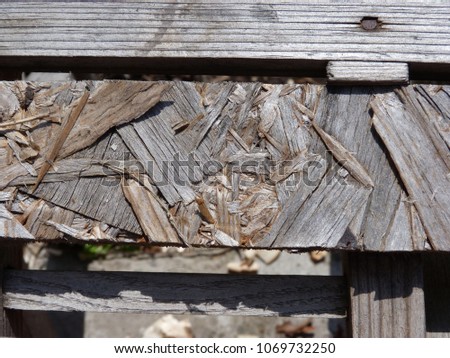 old weather-beaten wooden boards and chipboard, the rusty nail hat is visible, in between the boards there is a piece of nature, texture, close-up