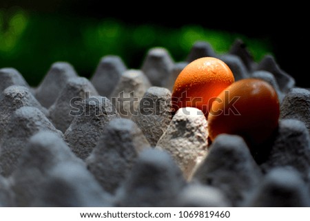 Photography of two chicken eggs on the paper pulp egg tray.