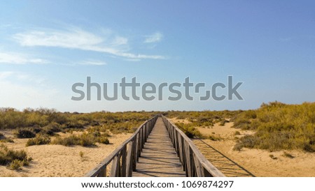 Wooden bridge crossing the sand dunes towards the sea
