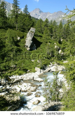 Veglia-Devero, Piedmont, Italy: mountain  stream