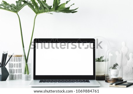 Modern and stylish desk with a cacti, design leafs, office accessories and laptop with white screen. Space of creative worker. 