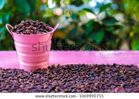 Coffee beans with  bucket on pink table  in natural background , Coffee beans with  tank