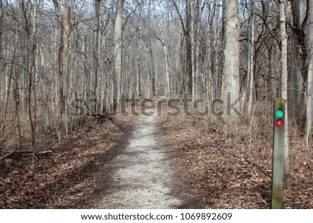 The long dirt hiking trail in the forest of the park.