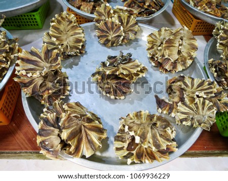 Dried Stingray at the Market in Samui island , Thailand.