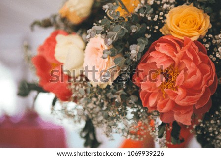 Pink and orange peonies bouquet close up 