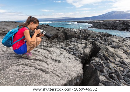 Galapagos tourist photographer taking photos of Marine Iguanas on Fernandina Island, Espinoza Point. Amazing wildlife, nature and animals on Galapagos Islands, Ecuador, South America.