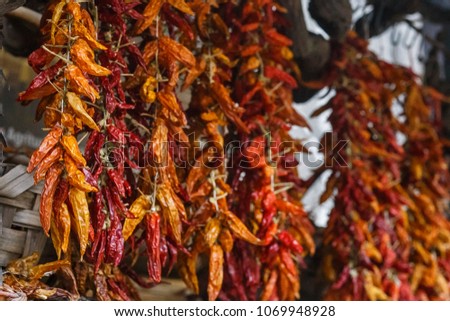 Dried hot red peppers hang from a building for sale , Sorrento, Amalfi coast, Italy