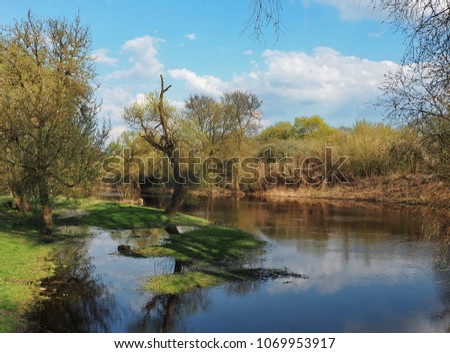 The picture shows early spring.On the banks of the river grow willow trees,the first green grass, blue sky with reflection in the water.