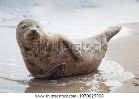 Lovely day at the beach. Smile in harmony with the nature. Royalty-Free Stock Photo #1070025908