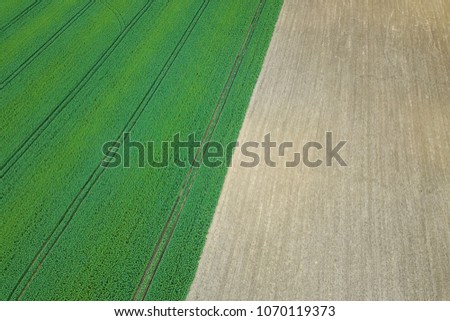 Rapeseed green field in spring, Agricultural land, Aerial View.