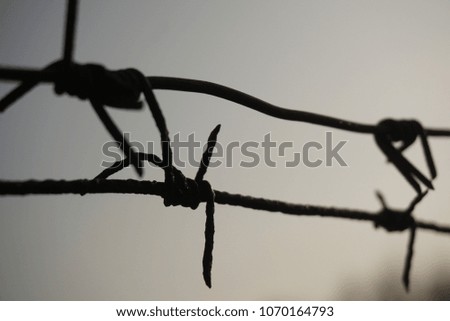 Barbed wire close-up with natural colors in the background 
