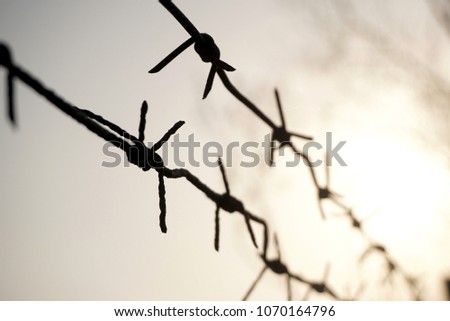 Barbed wire close-up with natural colors in the background 