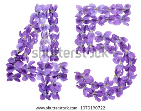 Arabic numeral 45, forty five, from flowers of viola, isolated on white background