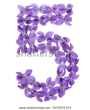 Arabic numeral 5, five, from flowers of viola, isolated on white background