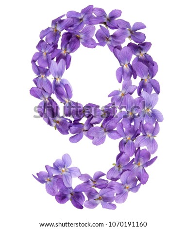 Arabic numeral 9, nine, from flowers of viola, isolated on white background