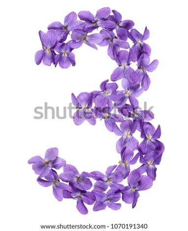 Arabic numeral 3, three, from flowers of viola, isolated on white background