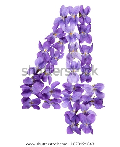 Arabic numeral 4, four, from flowers of viola, isolated on white background