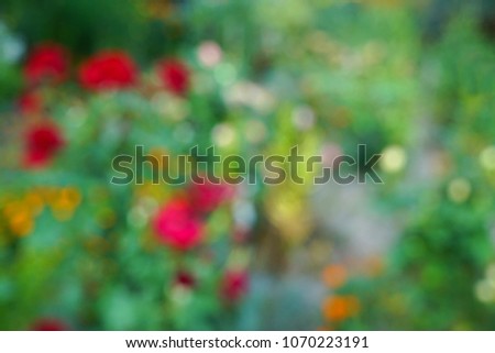 Out of focus natural floral bokeh background. Blured flower background. Blossoming flowers in a garden.