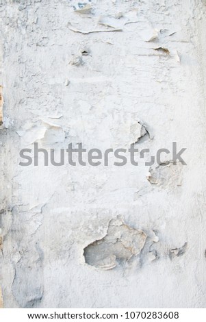 wall texture irradiated plaster.Irradiated paint on a concrete wall. Grunge background.