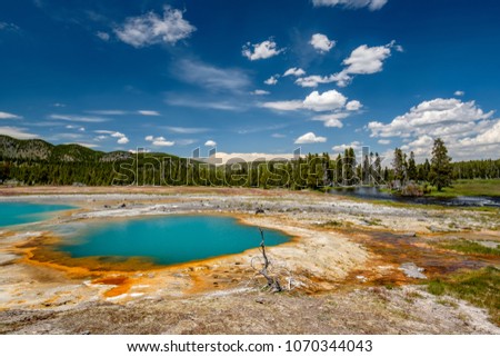 Hot thermal spring Black Opal Pool in Yellowstone National Park, Biscuit Basin area, Wyoming, USA