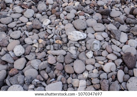 Photo Picture abstract background with dry round reeble stones