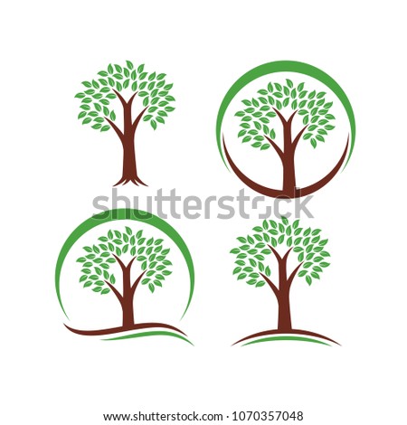 Tree Logo Design Vector Set