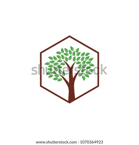 Tree Logo Vector Design