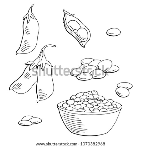 Lentil vegetable graphic black white isolated sketch set illustration vector Royalty-Free Stock Photo #1070382968
