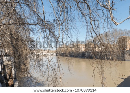 Horizontal picture of the trees over the Tiber River, located in Rome, Italy